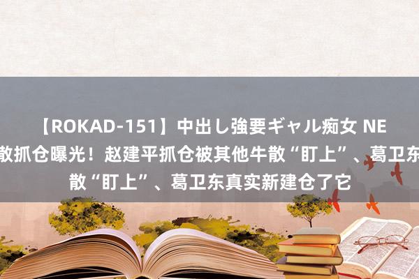 【ROKAD-151】中出し強要ギャル痴女 NEO 4時間 超等牛散抓仓曝光！赵建平抓仓被其他牛散“盯上”、葛卫东真实新建仓了它