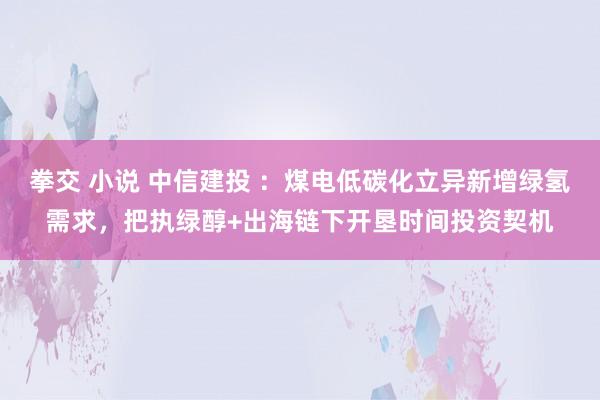 拳交 小说 中信建投 ：煤电低碳化立异新增绿氢需求，把执绿醇+出海链下开垦时间投资契机