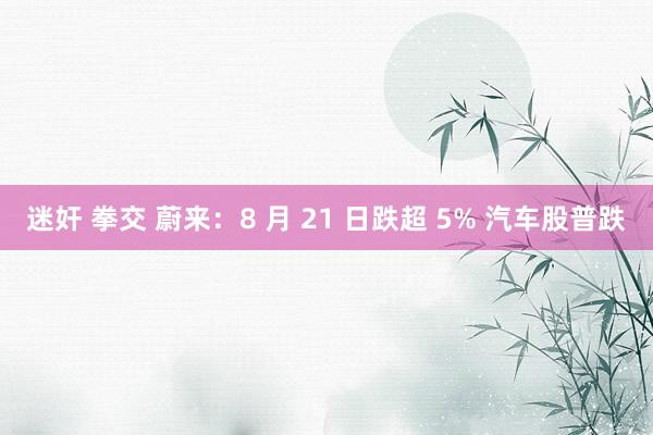 迷奸 拳交 蔚来：8 月 21 日跌超 5% 汽车股普跌